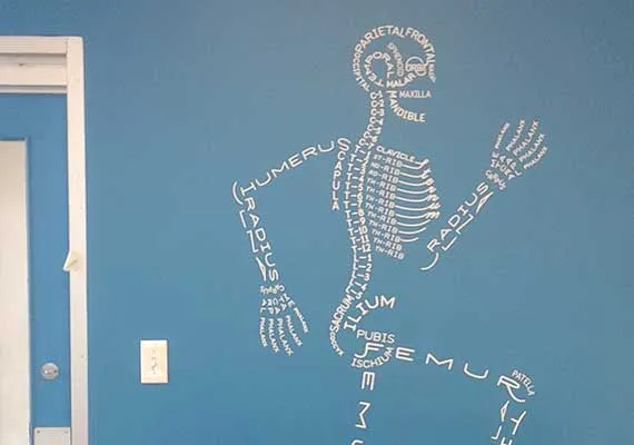 Printed skeleton wall decal